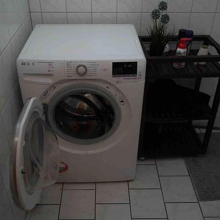 Luftiges Apartment Im Herzen Von Dresden Dış mekan fotoğraf
