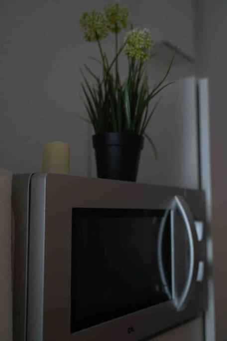 Luftiges Apartment Im Herzen Von Dresden Dış mekan fotoğraf