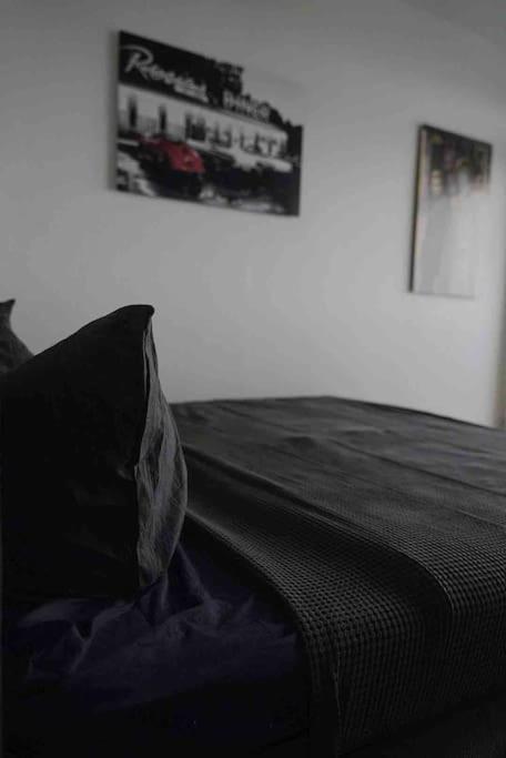 Luftiges Apartment Im Herzen Von Dresden Dış mekan fotoğraf