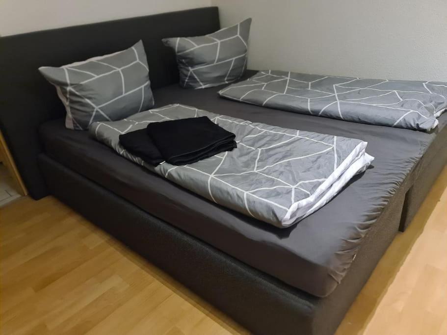 Luftiges Apartment Im Herzen Von Dresden Dış mekan fotoğraf