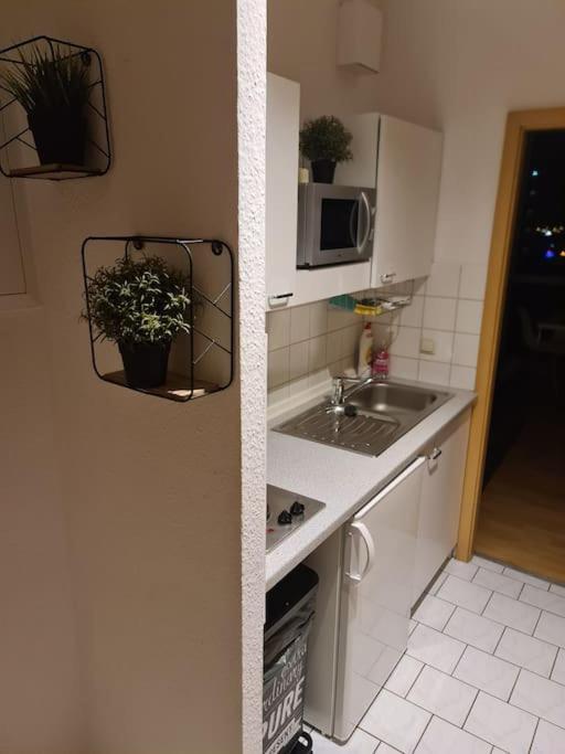 Luftiges Apartment Im Herzen Von Dresden Dış mekan fotoğraf